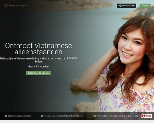 VietnamCupid Logo